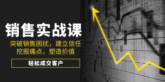销售实战课，突破销售困扰，建立信任，挖掘痛点，塑造价值，轻松成交客户-皮皮网创