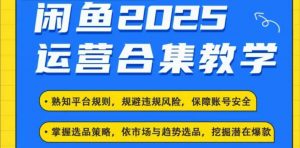 2025闲鱼电商运营全集,2025最新咸鱼玩法-皮皮网创