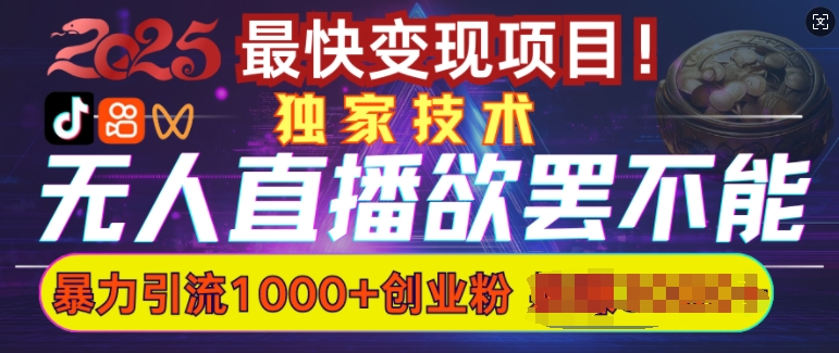 欲罢不能的无人直播引流，超暴力日引流1000+高质量精准创业粉-皮皮网创