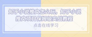 知乎小说推文怎么玩，知乎小说推文项目保姆级实战教程-皮皮网创