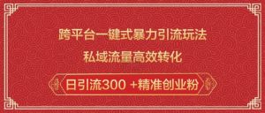 跨平台一键式暴力引流玩法,私域流量高效转化日引流300 +精准创业粉-皮皮网创
