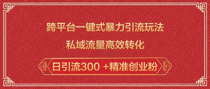 跨平台一键式暴力引流玩法，私域流量高效转化日引流300 +精准创业粉-皮皮网创