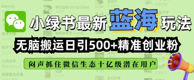 小绿书无脑搬运引流，全自动日引500精准创业粉，微信生态内又一个闷声发财的机会-皮皮网创