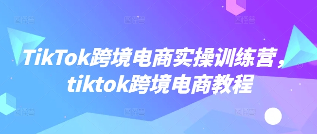 TikTok跨境电商实操训练营，tiktok跨境电商教程-皮皮网创