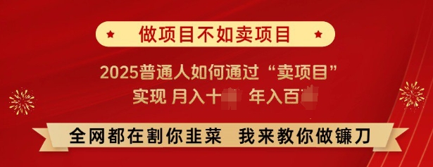 必看，做项目不如卖项目，2025普通人如何通过“卖项目”实现月入十个，年入百个-皮皮网创