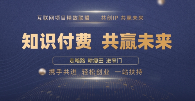 别人苦寻无果，为何他们靠知识付费卖项目 2025 年轻松年入100个?【揭秘】-皮皮网创