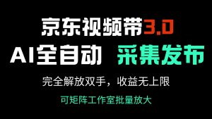 京东视频带货3.0，Ai全自动采集＋自动发布，完全解放双手，收入无上限...-皮皮网创