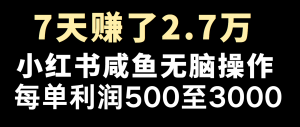 全网首发,7天赚了2.6万,2025利润超级高!-皮皮网创