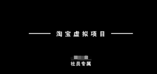 淘宝虚拟项目，从理论到实操，新手也能快速上手-皮皮网创
