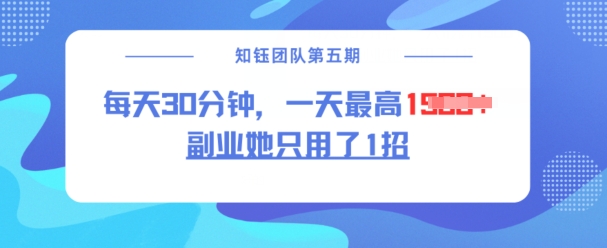 副业她只用了1招，每天30分钟，无脑二创，一天最高1.5k-皮皮网创