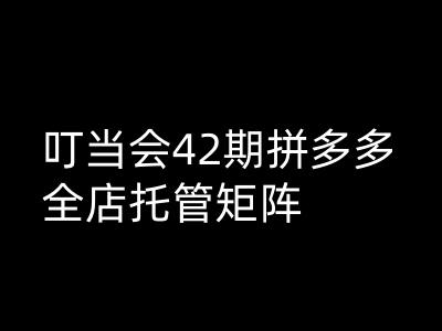 叮当会拼多多打爆班原创高阶技术第42期，拼多多全店托管矩阵-皮皮网创