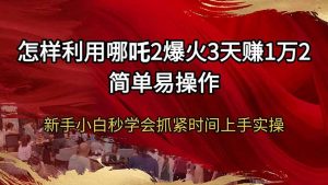 怎样利用哪吒2爆火3天赚1万2简单易操作新手小白秒学会抓紧时间上手实操-皮皮网创
