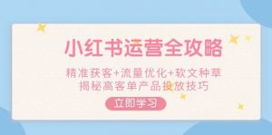 小红书运营全攻略,精准获客+流量优化+软文种草,揭秘高客单产品投放技巧-皮皮网创