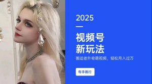 搬运老外奇葩视频，撸视频号分成计划收益，每天只需一小时，新手小白轻松月入过W-皮皮网创