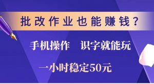 批改作业也能赚钱？0门槛手机项目，识字就能玩！一小时稳定50元！-皮皮网创