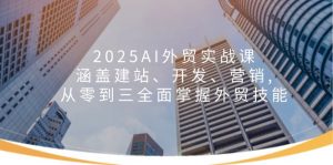 2025AI外贸实战课：涵盖建站、开发、营销, 从零到三全面掌握外贸技能-皮皮网创