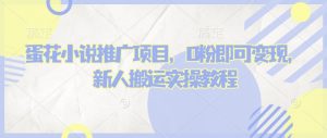 蛋花小说推文项目，0粉即可变现，新人搬运实操教程-皮皮网创