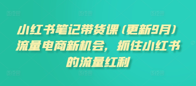 小红书笔记带货课(更新25年2月)流量电商新机会，抓住小红书的流量红利-皮皮网创