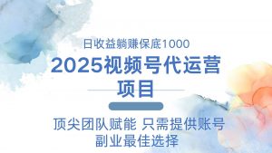 2025视频号代运营 日躺赚1000＋ 只需提供账号-皮皮网创