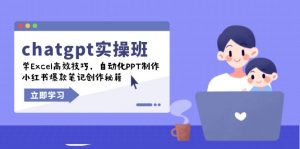 chatgpt实战班,学Excel高效技巧,自动化PPT制作,小红书爆款笔记创作秘籍-皮皮网创