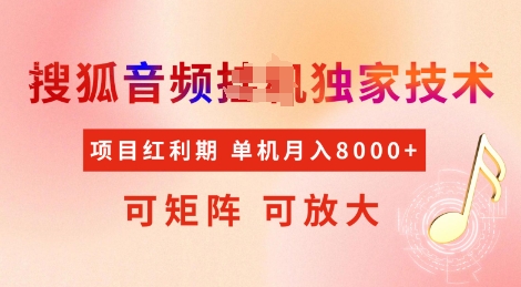 全网首发搜狐音频挂JI独家技术，项目红利期，可矩阵可放大，稳定月入8k【揭秘】-皮皮网创