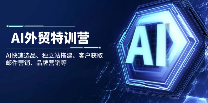 AI外贸特训营：AI快速选品、独立站搭建、客户获取、邮件营销、品牌营销等-皮皮网创