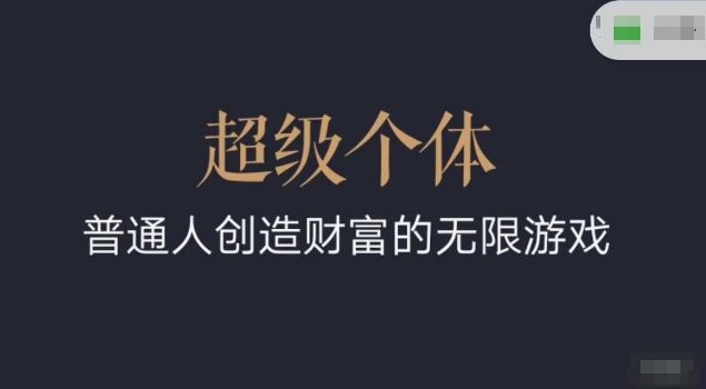 超级个体2024-2025翻盘指南，普通人创造财富的无限游戏-皮皮网创