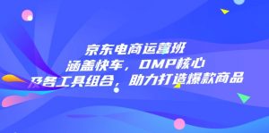 京东电商运营班：涵盖快车，DMP核心及各工具组合，助力打造爆款商品-皮皮网创