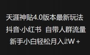 天涯神贴4.0版本最新玩法,抖音·小红书自带人群流量,新手小白轻松月入过W-皮皮网创
