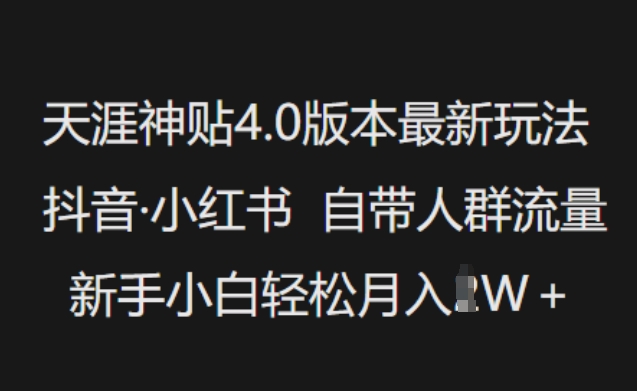 天涯神贴4.0版本最新玩法，抖音·小红书自带人群流量，新手小白轻松月入过W-皮皮网创