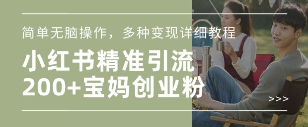 小红书混剪日引200+宝妈创业粉，简单无脑操作，多种变现详细教程-皮皮网创