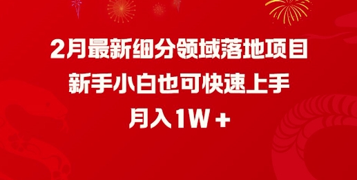 2月最新细分领域落地项目，新手小白也可快速上手，月入1W-皮皮网创