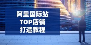 阿里国际站TOP店铺打造教程：涵盖平台到高阶，解决运营难题，提升询盘-皮皮网创