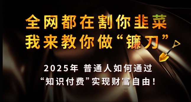 全网都在割你韭菜，我来教你做镰刀，2025年普通人如何通过 知识付费 实现财F自由【揭秘】-皮皮网创