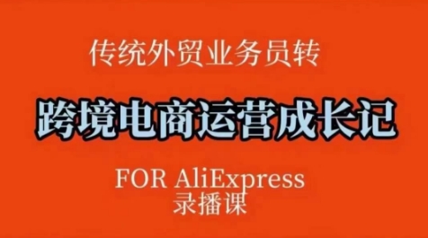 跨境电商速卖通运营课，​运营方法论+后台实操，逻辑清晰-皮皮网创