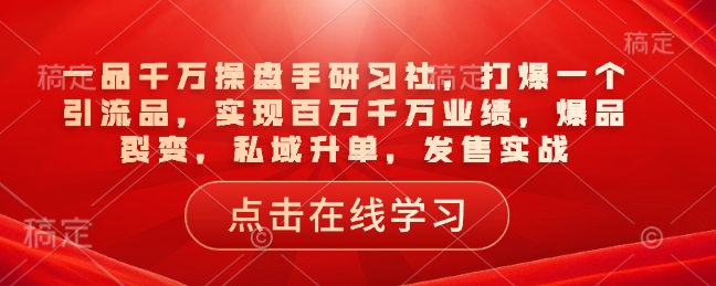 一品千万操盘手研习社，打爆一个引流品，实现百万千万业绩，爆品裂变，私域升单，发售实战-皮皮网创