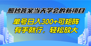 照抄答案当天学会的新项目，单号日入300 +可矩阵，有手就行，轻松放大-皮皮网创