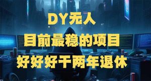 DY无人,目前最稳的项目,矩阵放大边旅游边赚钱,好好好干两年退休-皮皮网创