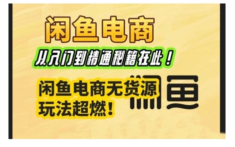 闲鱼电商实战课，从入门到精通秘籍在此，闲鱼电商无货源玩法超燃!-皮皮网创