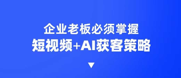 企业短视频AI获客霸屏流量课，6步短视频+AI突围法，3大霸屏抢客策略-皮皮网创