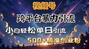 跨平台暴力引流，私域完美闭环，日引500+精准创业粉-皮皮网创