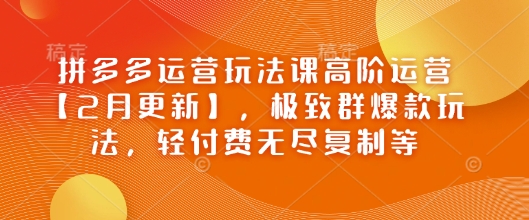 拼多多运营玩法课高阶运营【2月更新】，极致群爆款玩法，轻付费无尽复制等-皮皮网创