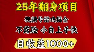 一天收益1000+ 25年开年落地好项目-皮皮网创