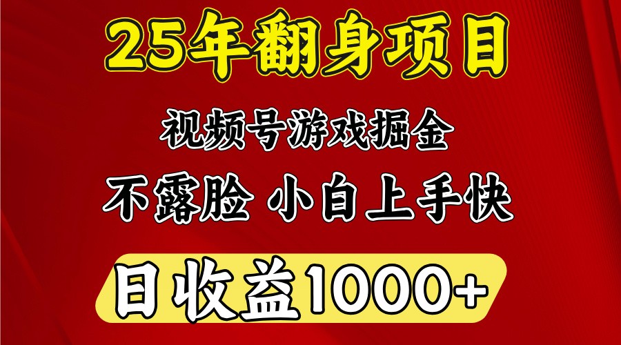 一天收益1000+ 25年开年落地好项目-皮皮网创