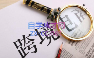 帮课大学VIP会员课程(更新2025年)-皮皮网创