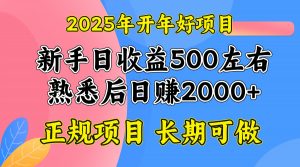 2025开年好项目,单号日收益2000左右-皮皮网创