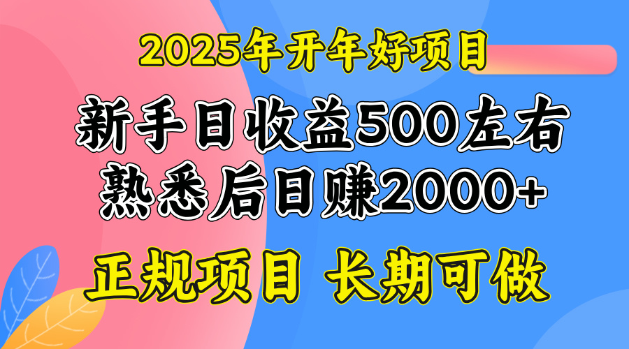 2025开年好项目，单号日收益2000左右-皮皮网创