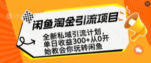 闲鱼淘金私域引流计划，从0开始玩转闲鱼，副业也可以挣到全职的工资-皮皮网创