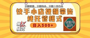 快手小店托管代运营 全程无需操作 二八分成 月入5000+-皮皮网创