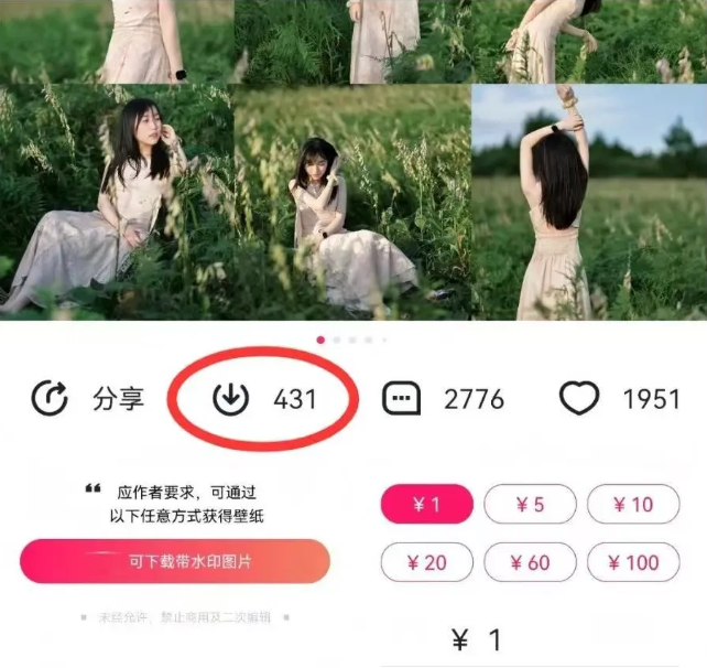 最新图虫搬运项目，收益无上限，利用AI小白也可日赚500+-皮皮网创